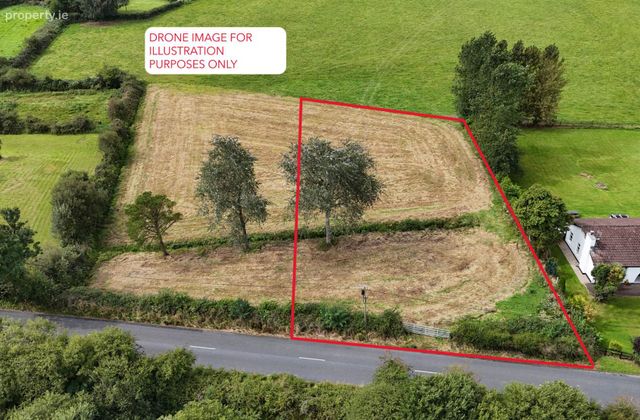 Murroe Wood, Murroe, Co. Limerick, Murroe, Co. Limerick - Click to view photos