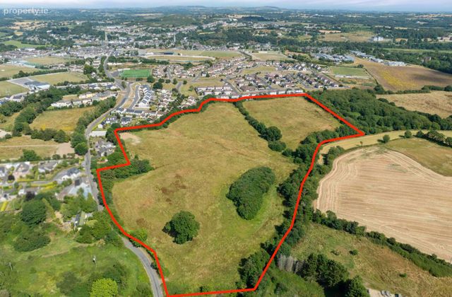 C. 8.7 Hectares / 21.9 Acres At Carley's Bridge, Enniscorthy, Co. Wexford - Click to view photos