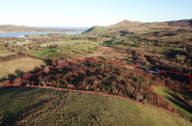 Forestry At Cloghbrack Upper, Cloughbrack Upper, Cornamona, Co. Galway, Cornamona, Co. Galway - Click to view photos