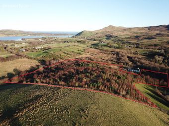 Forestry At Cloghbrack Upper, Cloughbrack Upper, Cornamona, Co. Galway, Cornamona, Co. Galway