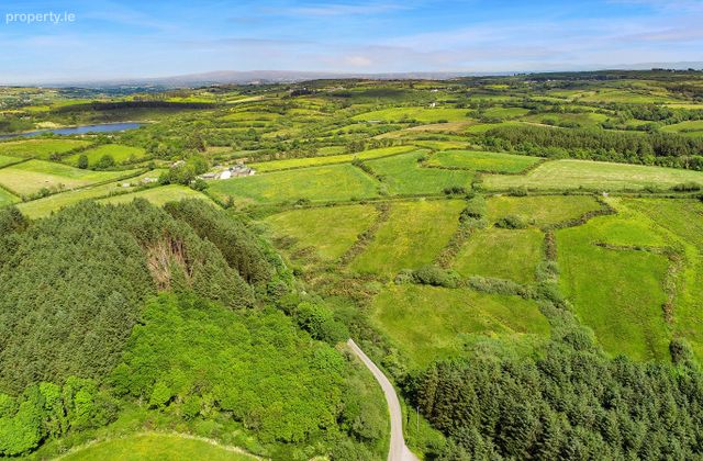 Garrynagry, Kilmaley, Co. Clare - Click to view photos