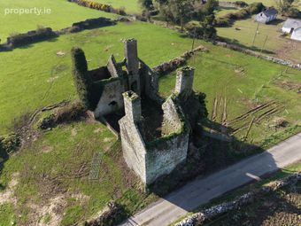 C. 7 Acres, Killiaghan &amp; Gort, Lecarrow, Co. Roscommon, Lecarrow, Co. Roscommon - Image 3