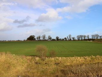 53.62 Acres Coolderry, Ardcroney, Nenagh, Co. Tipperary, Nenagh, Co. Tipperary - Image 2