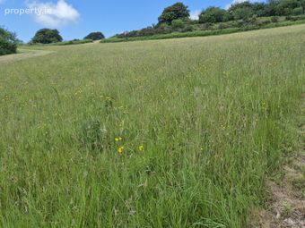 Inchirahilly, Farnanes, Co. Cork - Image 4