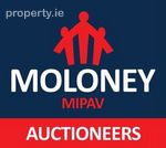 Moloney Auctioneers