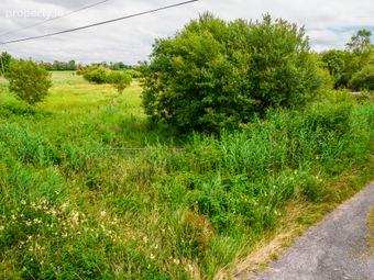Land For Sale, Ardmore, Donamon, Co. Roscommon, Donamon, Co. Roscommon