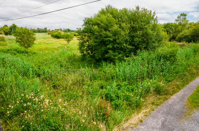 Land For Sale, Ardmore, Donamon, Co. Roscommon, Donamon, Co. Roscommon - Click to view photos