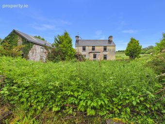 Srahaunananta, Kilnadeema, Loughrea, Co. Galway, Dalystown, Co. Galway