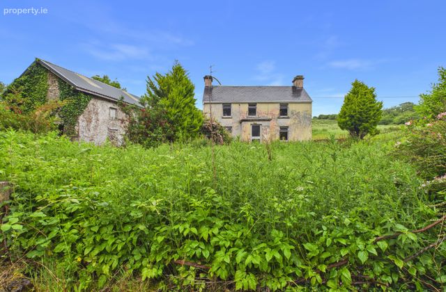 Srahaunananta, Kilnadeema, Loughrea, Co. Galway, Dalystown, Co. Galway - Click to view photos
