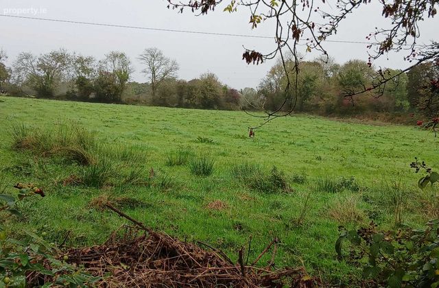 Rathmore Road, Knocknagree, Co. Cork - Click to view photos