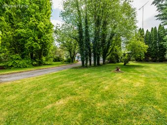 Southwinds, Kinneagh, The Curragh, Co. Kildare, The Curragh, Co. Kildare - Image 3