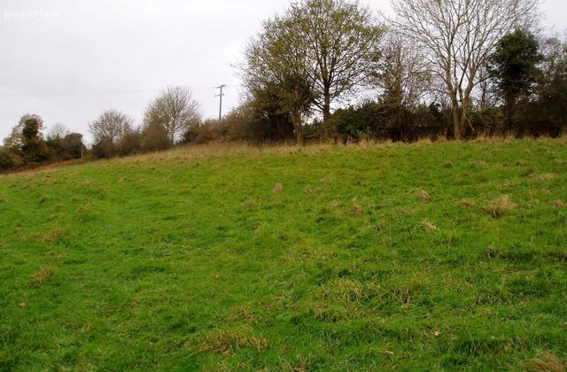 Ballynultagh, Shillelagh, Co. Wicklow - Click to view photos