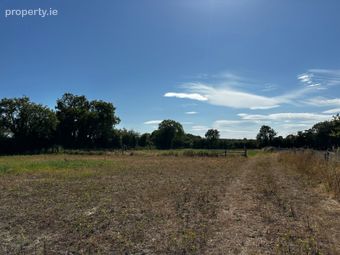 Brownstown, Castleinch, Co. Kilkenny, Cuffesgrange, Co. Kilkenny - Image 5