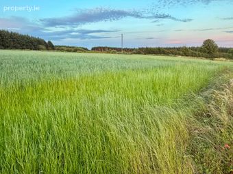 Ballylehane Upper, Wolfhill, Co. Laois - Image 3
