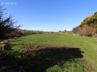 4.15 Acres, Reagrove, Minane Bridge, Co. Cork - Image 4