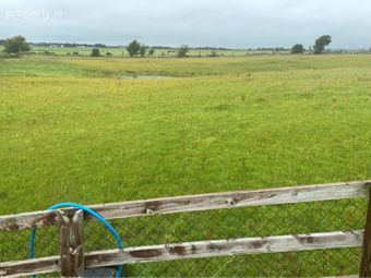 Mirah, Turloughmore, Co. Galway, Turloughmore, Co. Galway - Image 2