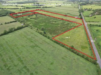 Grange, Kilmallock, Co. Limerick, Grange, Co. Limerick - Image 5