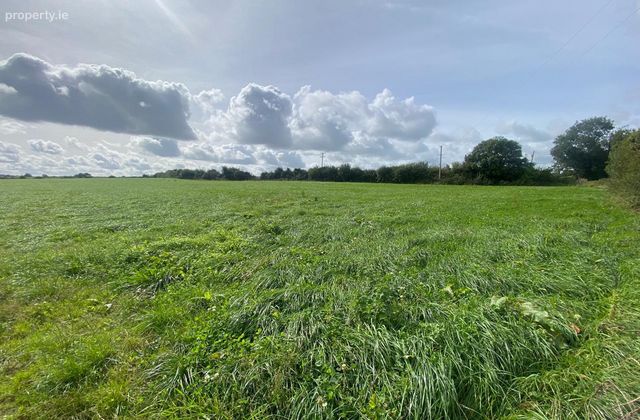 Puckstown, Dunleer, Co. Louth - Click to view photos