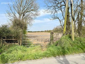 C. 22 Acres Weneytown, Duncormick, Co. Wexford - Image 5