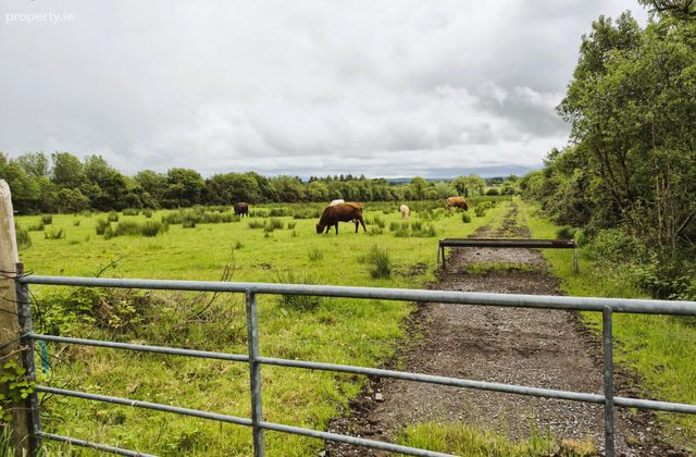Sargura, Charlestown, Bellaghy, Co. Sligo - Click to view photos