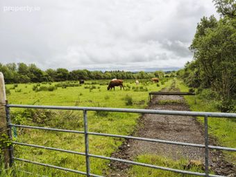 Sargura, Charlestown, Bellaghy, Co. Sligo