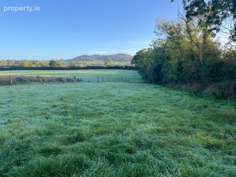 Prospect, Ballymoney, Gorey, Co. Wexford, Ballymoney, Co. Wexford - Image 4
