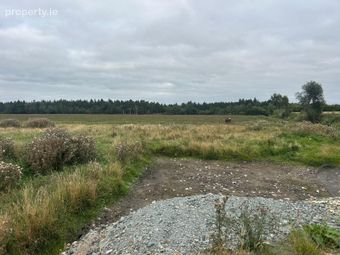 Emo Park, Corrig, Ballybrittas, Co. Laois, Emo, Co. Laois - Image 2