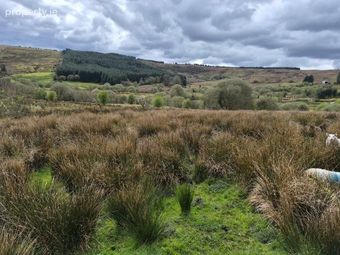 Daragoon, Dowra, Co. Leitrim - Image 2