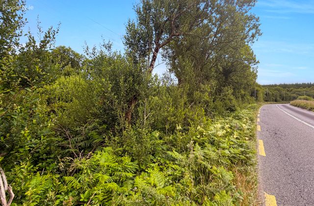 Lot 2 - Plot Of Land At Bealcragga, On Folio Ce5478f, Connolly, Ennis, Co. Clare, Connolly, Co. Clare - Click to view photos