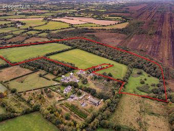 Derrylea, Monasterevin, Co. Kildare - Image 3