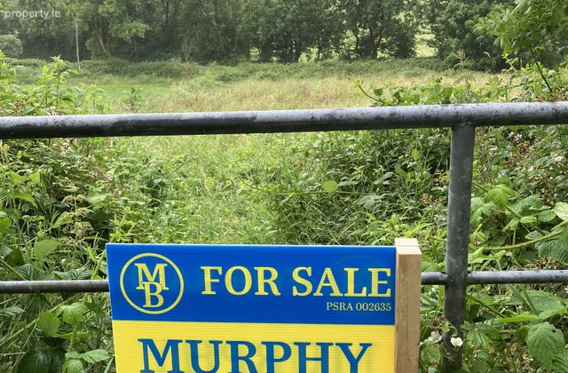 Glen South, Banteer, Co. Cork - Click to view photos