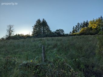 Dernaheltymore Aughnasheelan Ballinamore Co Leitrim, Aughnasheelan, Co. Leitrim - Image 2