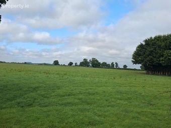 Lands Downings South, Prosperous, Co. Kildare - Image 4
