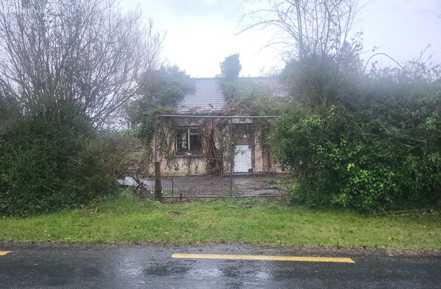 Shannon Eighter, Sligo, Co. Sligo - Click to view photos