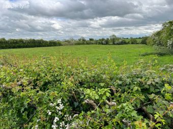 Alexanderaide, Kentstown Road, Navan, Co. Meath