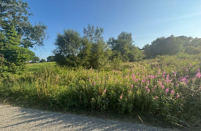 Church Hill, Castleblayney, Co. Monaghan - Click to view photos