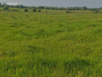 Cloonulty, Ballydangan, Athlone, Co. Roscommon - Image 4