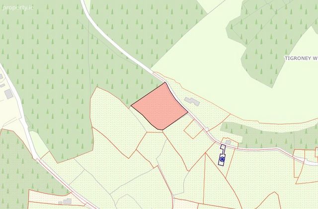 Tigroney West, Avoca, Co. Wicklow, Folio No. Ww1330f, Avoca, Co. Wicklow - Click to view photos