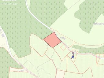 Tigroney West, Avoca, Co. Wicklow, Folio No. Ww1330f, Avoca, Co. Wicklow