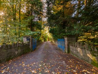 Mill House, New Mill, Mountmellick, Co. Laois - Image 5