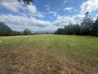 Land C. 6.75 Acres / 2.73 Hectares, Glashina, Blessington, Co. Wicklow - Image 5