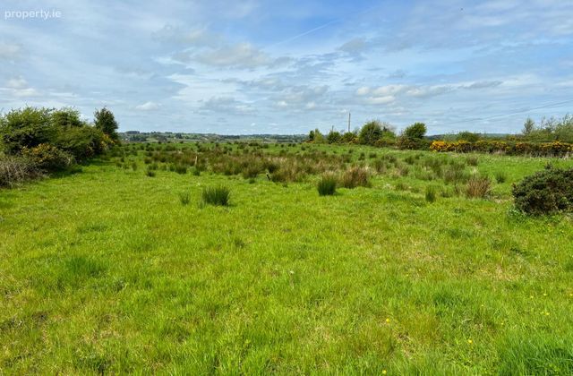 C. 48 Acres In Mountain Forthill, Ballyhaunis, Co. Mayo - Click to view photos