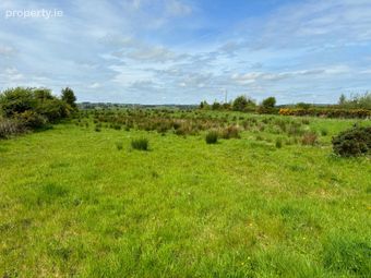 C. 48 Acres In Mountain Forthill, Ballyhaunis, Co. Mayo