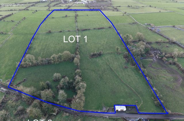 C. 28.80 Acres, Cornashinnagh, Fourmilehouse, Co. Roscommon, Four Mile House, Co. Roscommon - Click to view photos