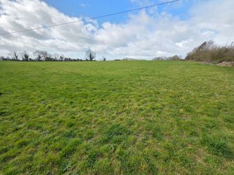 Greenane, Caherconlish, Co. Limerick - Image 5