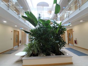 Suite 14, Plaza 256, Blanchardstown Corporate Park 2, Blanchardstown, Dublin 15 - Image 5