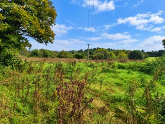 C.29.4 Acre Residential Farm Bohaun, Kiltimagh, Co. Mayo - Image 3