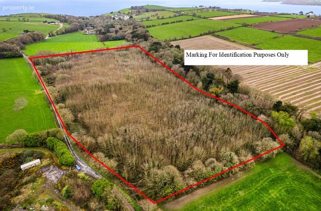 Trabolgan, Whitegate, Midleton, Co. Cork - Click to view photos