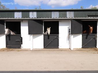 Drumralla Stables, 31 Drumralla Road, Newtownbutler, Nothern Ireland, Co. Fermanagh, Clones, Co. Monaghan - Image 5