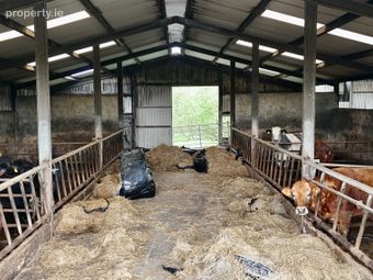 Prime Farm Yard &amp; Sheds On 2 Acres (approx.) At Beefield, Kilconnell, Ballinasloe, Co. Galway, Cloonymorris, Co. Galway - Image 5